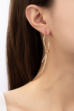 Barbed Wire Dropped Earrings