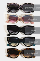 Oversized women's cat eye shape sunglasses. 5 different color options. Colors from top to bottom are: gray tortoise shell, clear with pink sides, black, black with teal sides, brown tortoise shell.