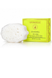 A white, porous sponge bar next to its lime green packaging box labeled 'SPONGELLÉ Coconut Yoghie' on a clean white background.