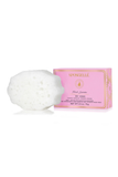 A white porous sponge bar next to its pink packaging box with gold lettering, labeled 'Spongellé' and 'French Lavender'.