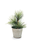 A small artificial pine tree with green needles and a brown trunk, potted in a galvanized metal bucket, isolated on a white background.